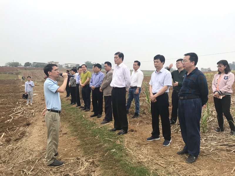 1556013572861324.jpg ǧӮ-qy88(¹ú¼Ê)¹Ù·½ÍøÕ¾